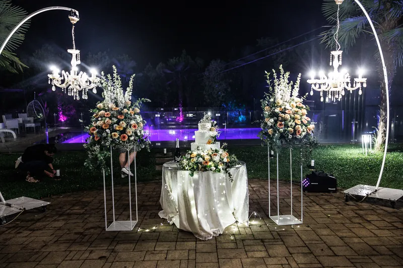 Luca e Ilaria a Casa Mascagni – la sera: torta e fuochi, foto 2