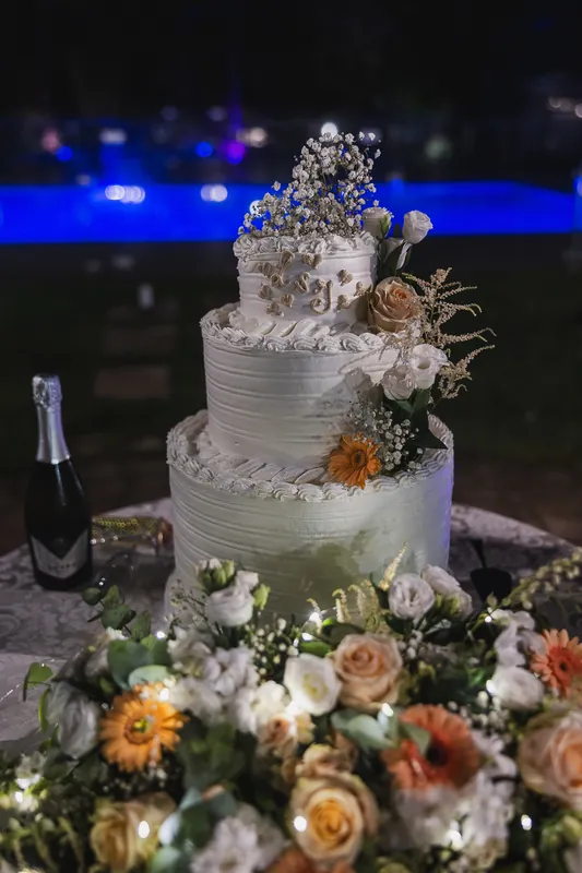Luca e Ilaria a Casa Mascagni – la sera: torta e fuochi, foto 3