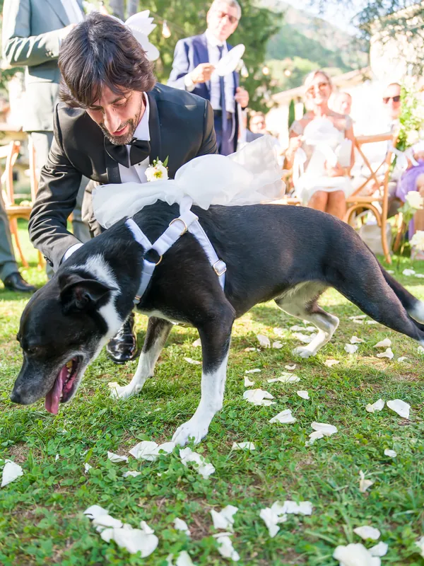 Valeria e Stefano a Castello di Clanezzo – la cerimonia nel parco, foto 13