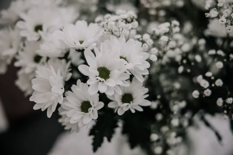 Andrea e Michelle a Corte Piovanelli – i preparativi della sposa, foto 1