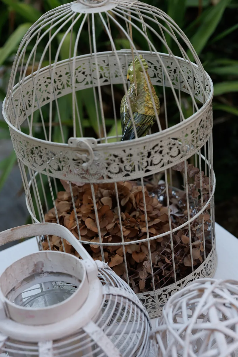 Foto matrimonio Corte Poli 11