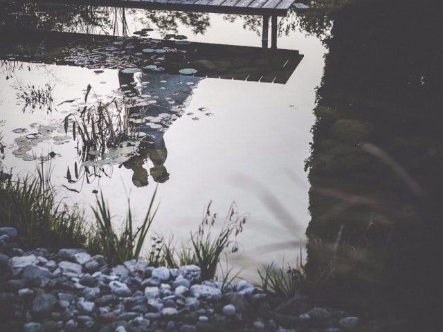 Reportage Michela e Paolo Milano