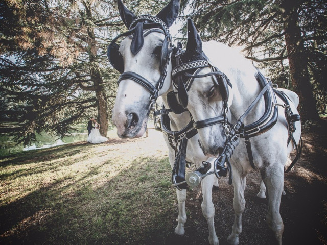  Matrimonio nCascina Santa Croce 