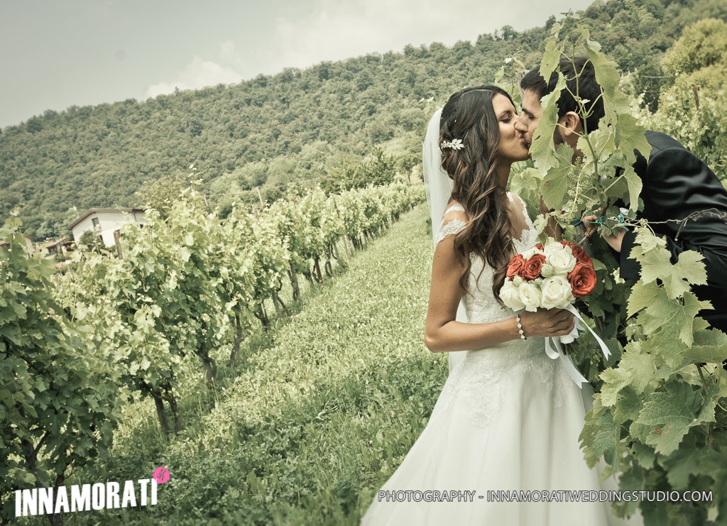 Vigneto - Villa Suardi