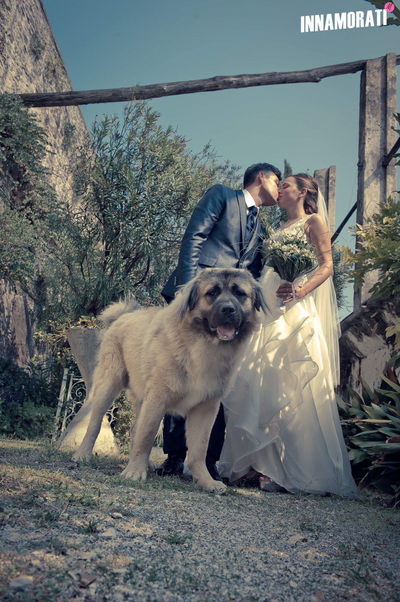 Antica Cascina San Zago sposi e cane