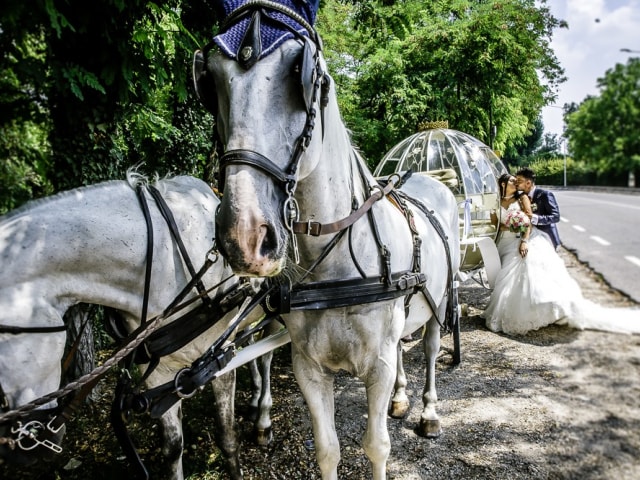 Foto Villa Regina del Bosco Villa Regina del Bosco By Innamorati