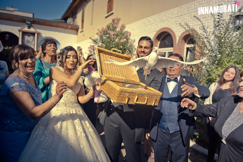 Cinisello Balsamo colomba By Innamorati