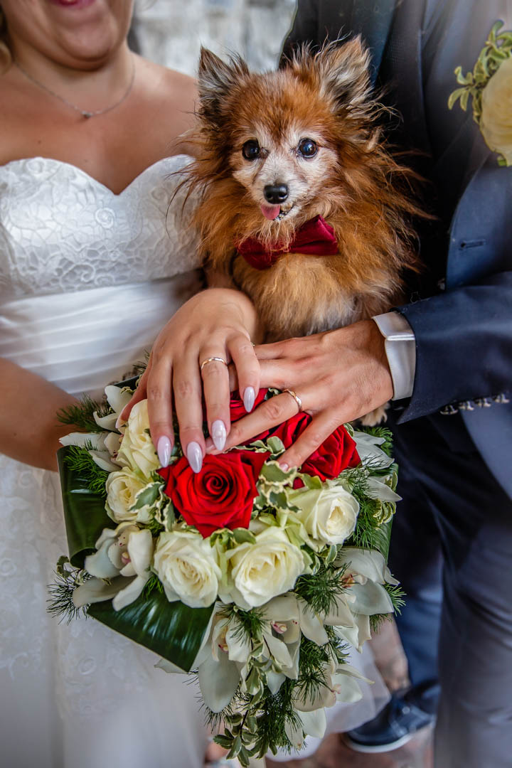 Monte Isola fiori.jpg