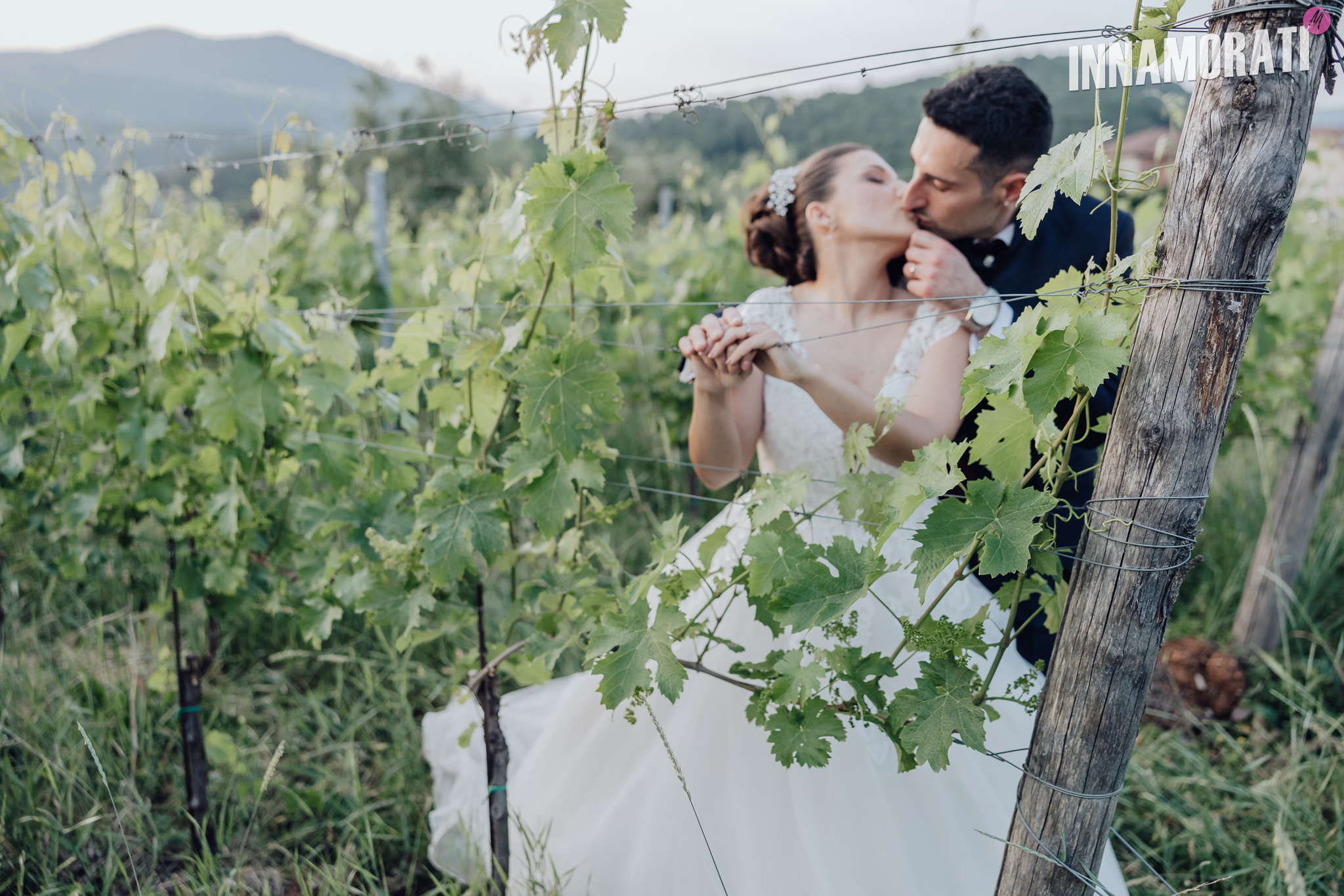 Preventivo giardino.jpg