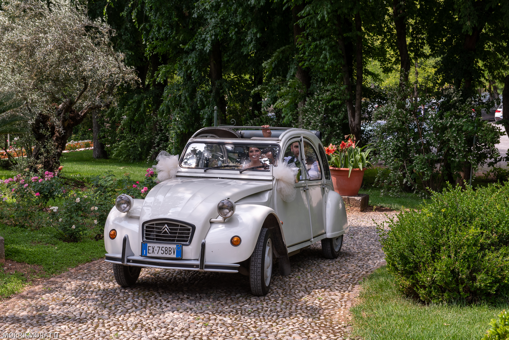 Preventivo Matrimonio.jpg